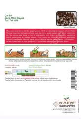 Çin Evi Çiçeği Tohumu 100 Adet | Arzuman