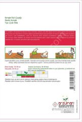 KARIŞIK GÜL (Rosalle Mixed) Tohumu 15 Adet | Arzuman