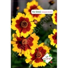 Kız Gözü Çiçeği Tohumu 100 Adet | Arzuman