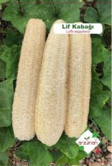 Lif Kabağı (Luffa aegyptiaca) Tohumu 5 Adet | Arzuman