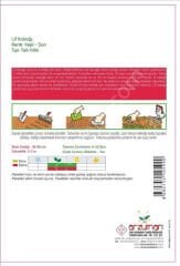 Lif Kabağı (Luffa aegyptiaca) Tohumu 5 Adet | Arzuman