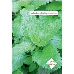 Melisa Tohumu | 50 Adet | Arzuman