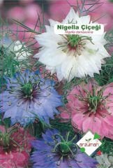 Nigella (Nigella damascena) Tohumu | 40 Adet | Arzuman