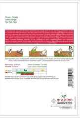 Özlem Çiçeği Tohumu | 25 Adet | Arzuman