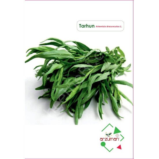 Tarhun Tohumu | 50 Adet | Arzuman