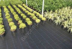 1 Mt En Sera Taban Örtüsü – Peyzaj Kumaşı Jüt (100 gr/m²)