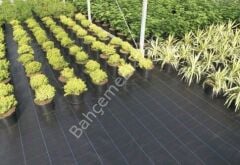 2 Mt En Sera Taban Örtüsü – Peyzaj Kumaşı Jüt (100 gr/m²)