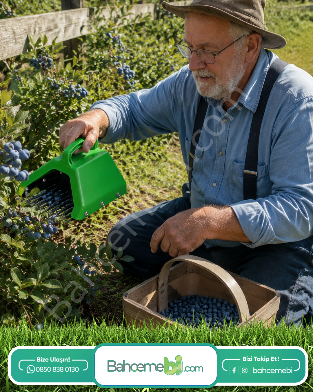Blue Berry , Aronya Ve Meyve  Toplama Tarağı Plastik Bsr Garden