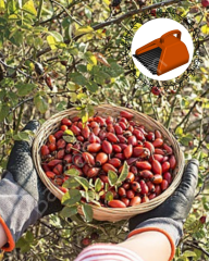 Kuşburnu , Alıç Ve İğde Toplama Aparatı Metal Tırnaklı Plastik Bsr Garden