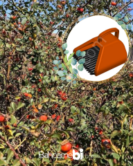 Kuşburnu , Alıç Ve İğde Toplama Aparatı Metal Tırnaklı Plastik Bsr Garden