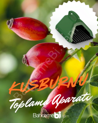Kuşburnu Ve Alıç Toplama Aparatı Metal Tırnaklı Plastik Bsr Garden
