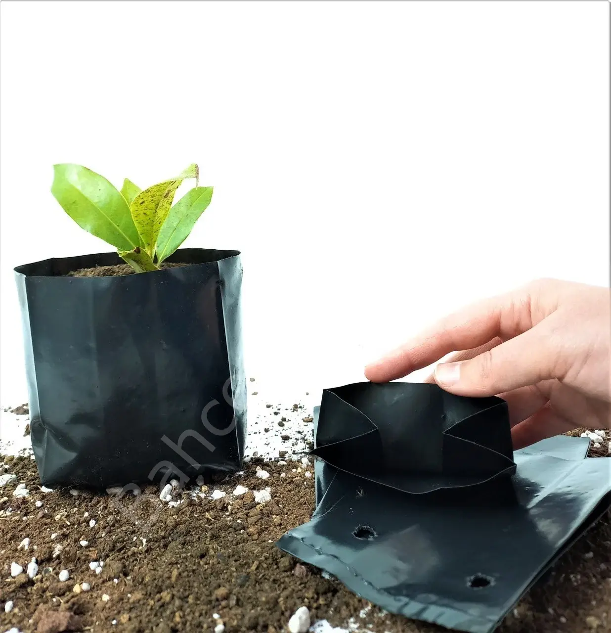 Fide Fidan Poşeti 9x15 cm – UV Katkılı, Körüksüz, 10’lu Paket