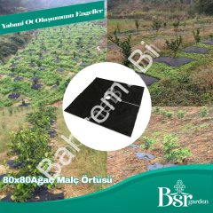 Ağaç Taban Örtüsü 80x80 250 Adet Bsr Garden