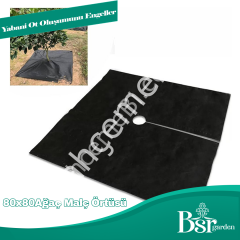 Ağaç Taban Örtüsü 80x80 500 Adet Bsr Garden