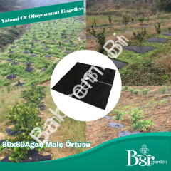Ağaç Taban Örtüsü 80x80 1000  Adet Bsr Garden
